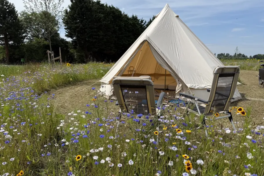 Camping t Weergors off grid Belltent22