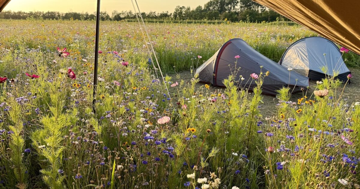 Camping 't Weergors